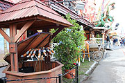 Riesenspinne im Brunnen ©foto. Martin Schmitz)